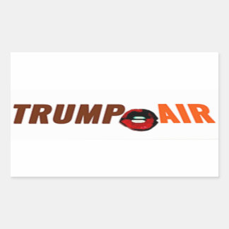 Trump Hot Air Outwhite Rechteckiger Aufkleber