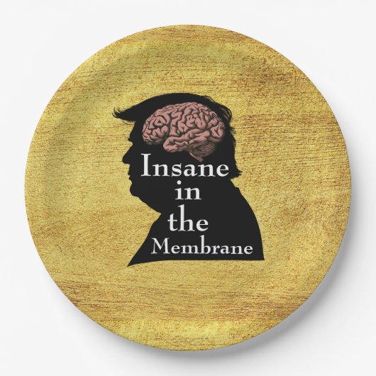 Trump/Insane-Papierplatte Pappteller (Vorderseite)