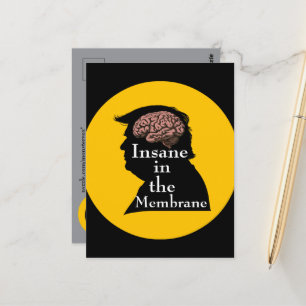 Trump/insane Postcard Postkarte