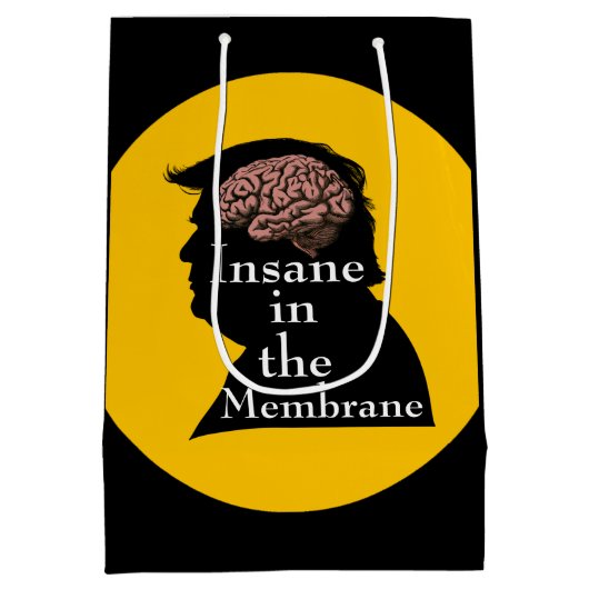 Trump/Iran-Geschenktasche Mittlere Geschenktüte (Rückseite)