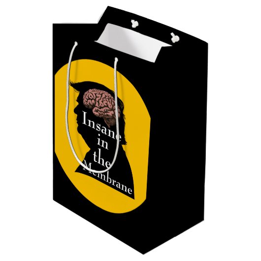 Trump/Iran-Geschenktasche Mittlere Geschenktüte (Rückseite Schrägansicht)