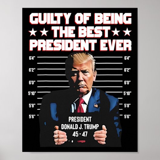 Trump ist die Schuld, der beste Präsident aller Ze Poster (Vorne)