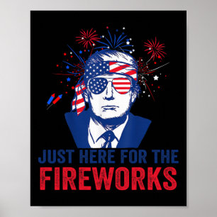 Trump ist hier nur wegen des Feuerwerks Lustiger 4 Poster