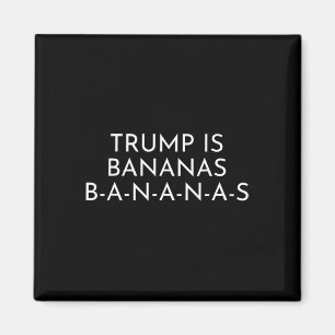 Trump ist verrückt – die Absurdität enthüllen Magnet