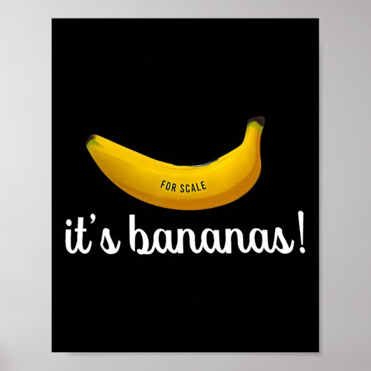 Trump It's Nana (for Scale) Funny 2 Poster (Vorne)