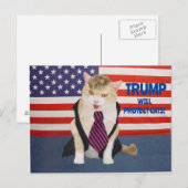Trump Kitty Postkarte (Vorne/Hinten)