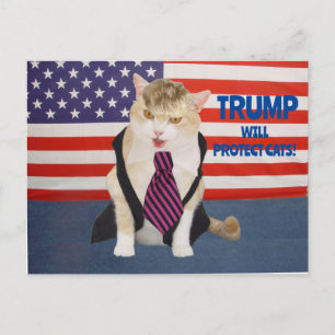Trump Kitty Postkarte