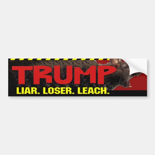 Trump - Liar, Loser, Leach Autoaufkleber (Vorne)