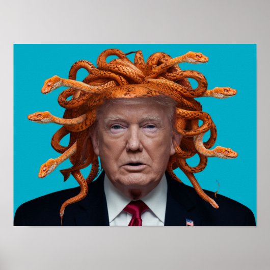 Trump Medusa Poster (Vorne)