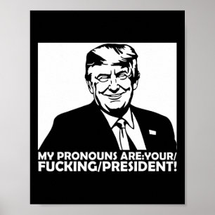 Trump meine Pronomen sind Ihr Ing Präsident  Poster