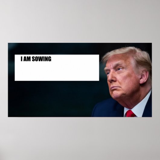 Trump-Plakat Poster (Vorne)