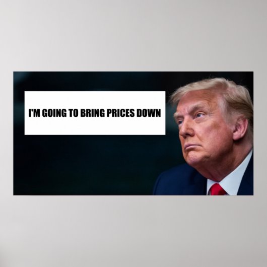 Trump-Plakat Poster (Vorne)