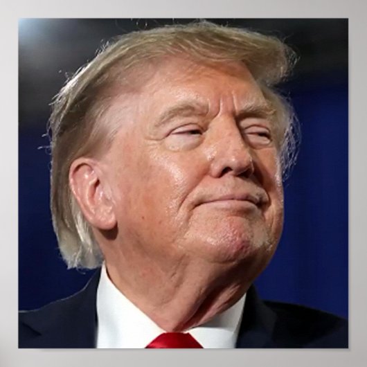 Trump-Plakat Poster (Vorne)