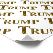 TRUMP POSTER (Ecke)