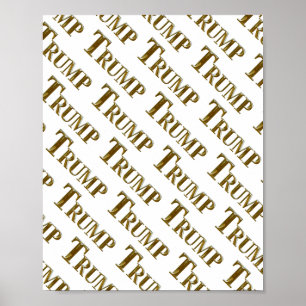 TRUMP POSTER