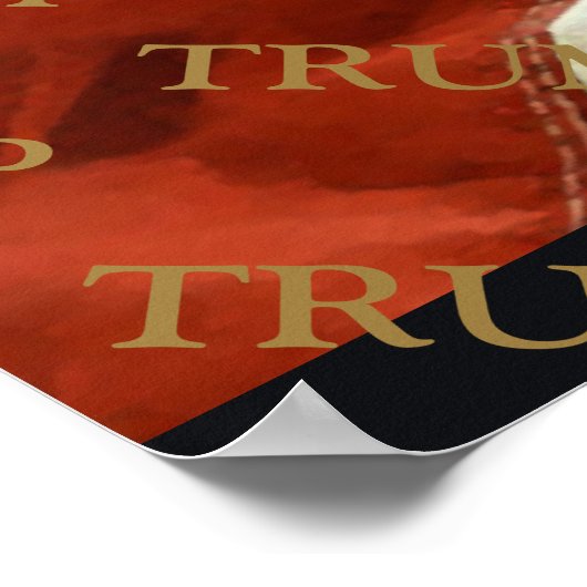 TRUMP POSTER (Ecke)