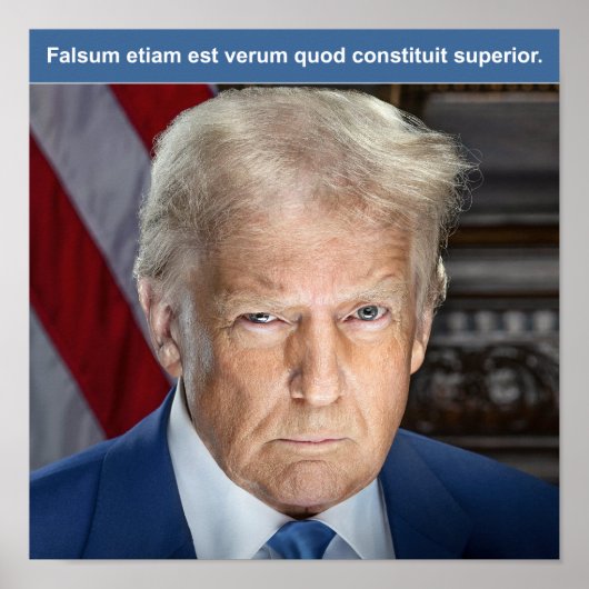 Trump Poster (Vorne)