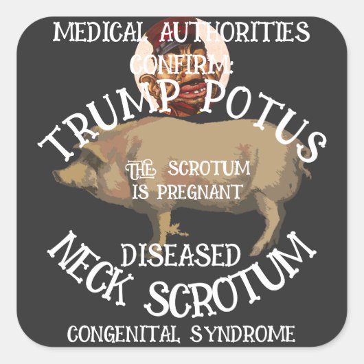 Trump Quadratischer Aufkleber (Vorderseite)