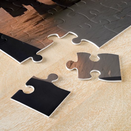 Trump’s Witch Hunt Puzzle (Seite)