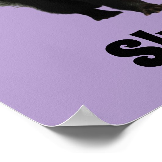 Trump Skunk Poster (Ecke)