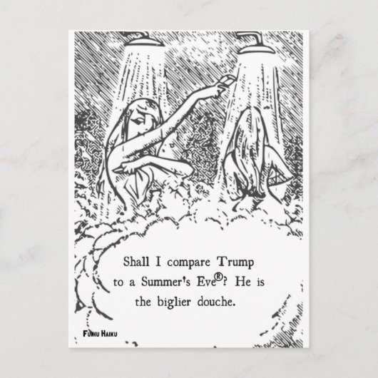 Trump-Sommer-Postkarte Postkarte (Vorderseite)