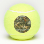 Trump Tennisbälle (Rückseite)