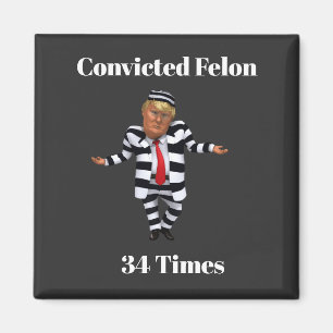 Trump verurteilte Felon Magnet