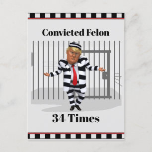 Trump verurteilte Felon Postcard Postkarte
