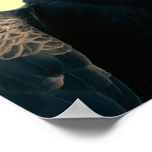 Trump Vulture Poster (Ecke)