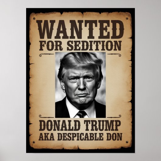 Trump Wanted Poster (Vorne)