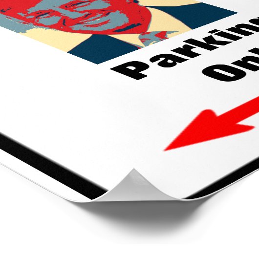 Trump Zone Parking Sign Poster (Ecke)