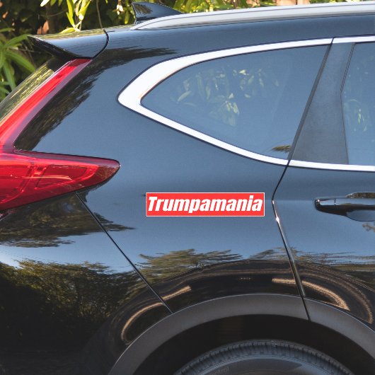 Trumpamania Trump Wahl 2024 Aufkleber (Auto Seite)
