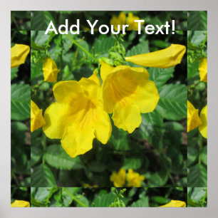 Trumpet Garden Blumen Yellow Poster