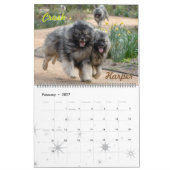Trumpet Keeshond Calendar 2018 Kalender (Feb 2027)