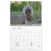 Trumpet Keeshond Calendar 2018 Kalender (Jan 2026)