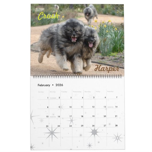 Trumpet Keeshond Calendar 2018 Kalender (Feb 2026)