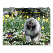 Trumpet Keeshond Calendar 2018 Kalender (Titelbild)