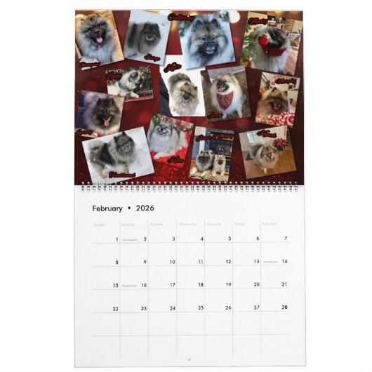 Trumpet Keeshond Calendar 2021 Kalender (Feb 2026)