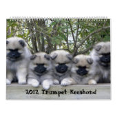 Trumpet Keeshond Kalender 2012 (Titelbild)