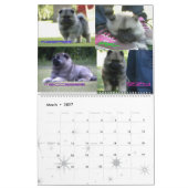 Trumpet Keeshond Kalender 2012 (Mär 2027)