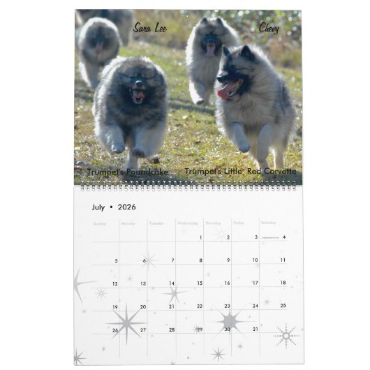 Trumpet Keeshond Kalender 2017 (Jul 2026)