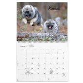 Trumpet Keeshond Kalender 2017 (Jan 2026)