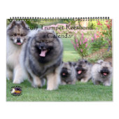 Trumpet Keeshond Kalender 2017 (Titelbild)
