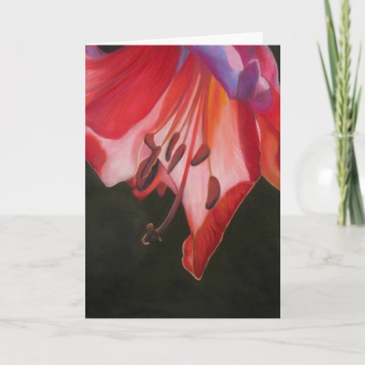 Trumpet Lily Karte (Vorderseite)