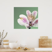 Trumpet Lily Poster (Küche)