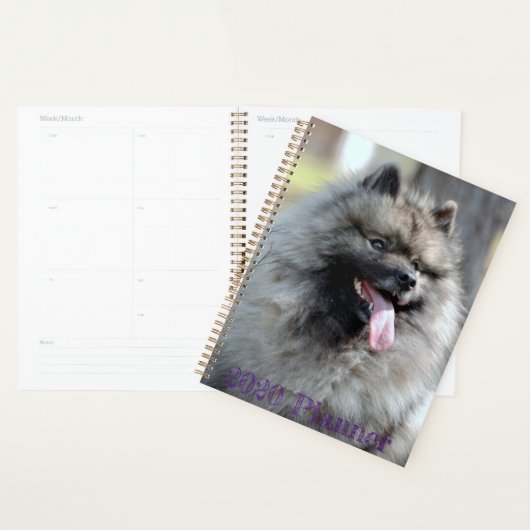 Trumpet-Planer 2020 Planer (Anzeige)