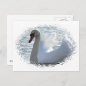 Trumpet Swan Postcard Postkarte (Vorne/Hinten)