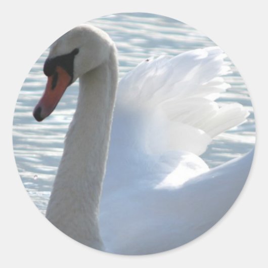 Trumpet Swan Sticker (Vorderseite)