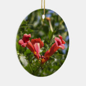 Trumpet Vine Blume Ornament (Rechts)