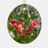 Trumpet Vine Blume Ornament (Links)